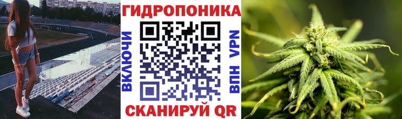 Конопля White Widow  кракен зеркало  Георгиевск 